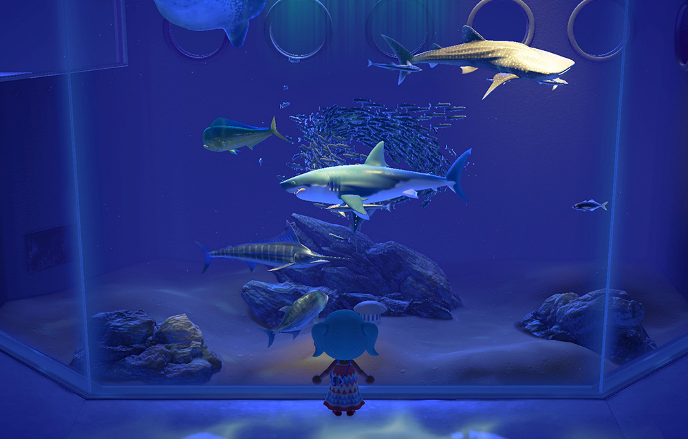 Un vero acquario sta organizzando dei tour basati sul Museo di Animal Crossing: New Horizons!