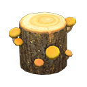 Ciocco fungo (Fungo giallo)