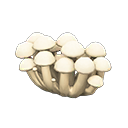 Divisorio fungo (Fungo bianco)