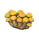 Divisorio fungo (Fungo giallo)