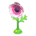 Ventilatore anemone (Rosa)