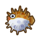 Pesce istrice