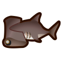 Pesce martello