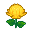 Crisantemo giallo