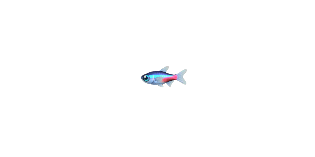 Pesce neon