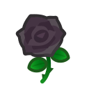 Rosa nera