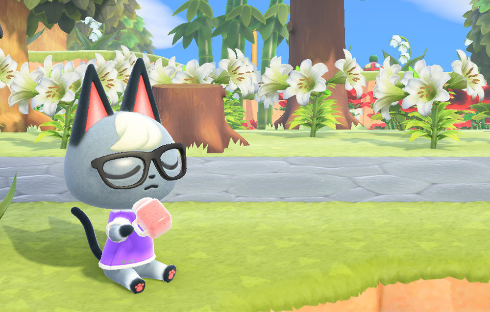Tutti gli abitanti con stile elegante presenti in Animal Crossing: New Horizons