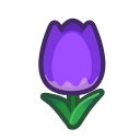 Tulipano indaco