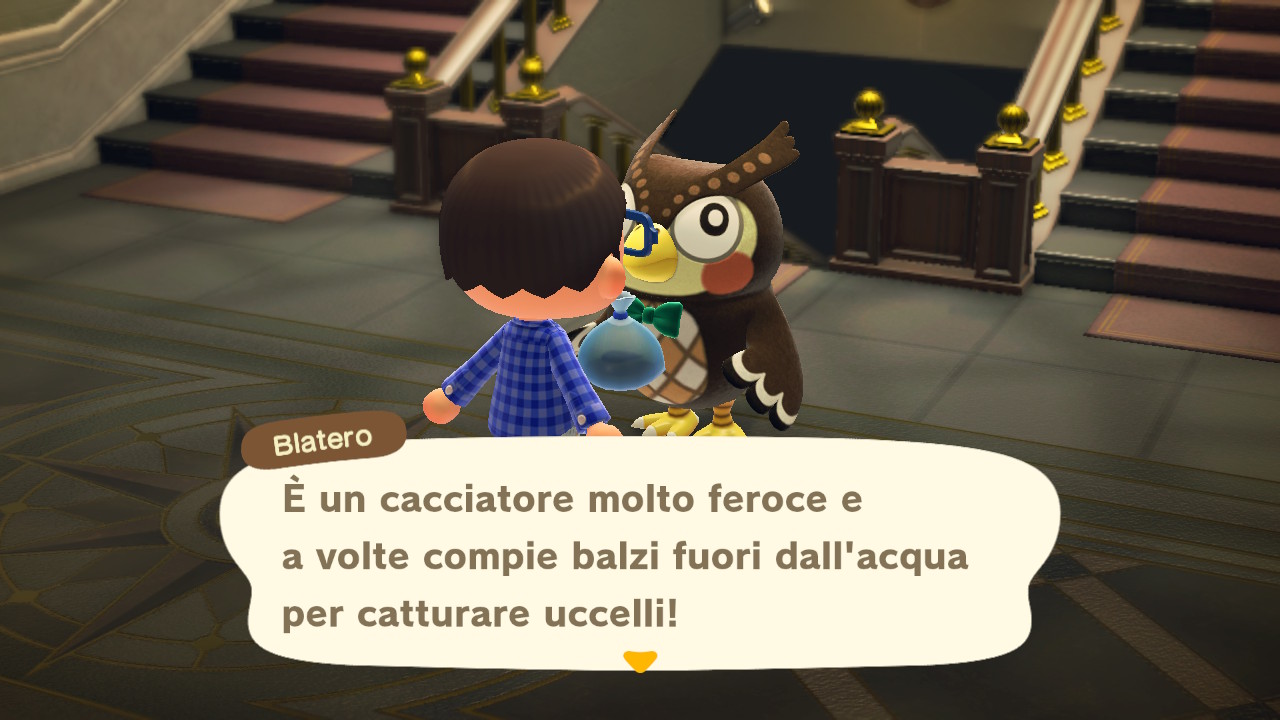 Il dialogo con il curatore del museo 3