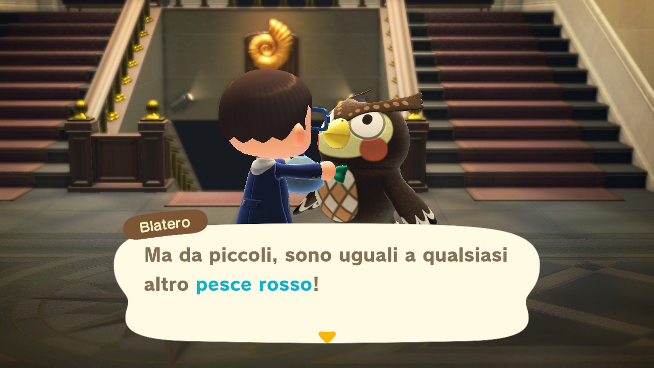 Il dialogo con il curatore del museo 2