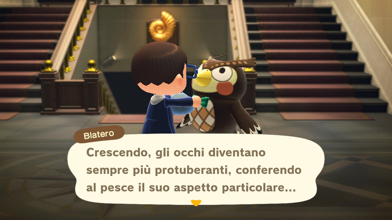 Il dialogo con il curatore del museo 3