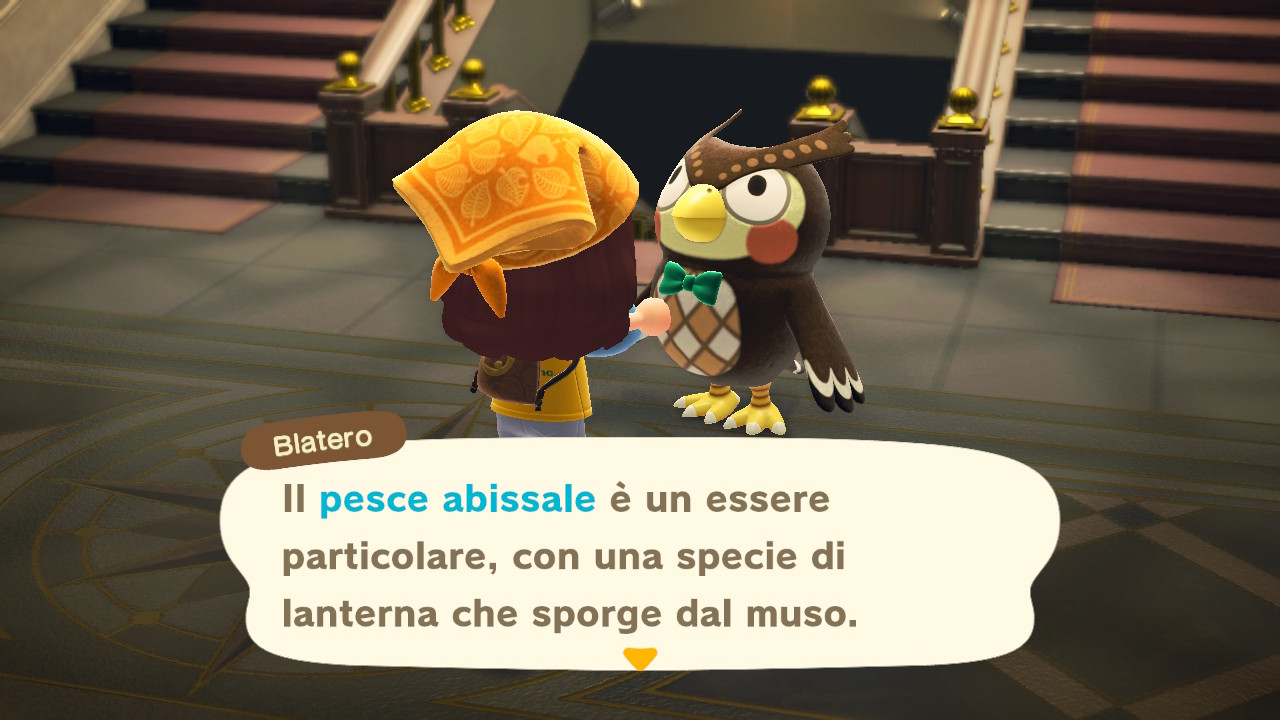 Il dialogo con il curatore del museo 4