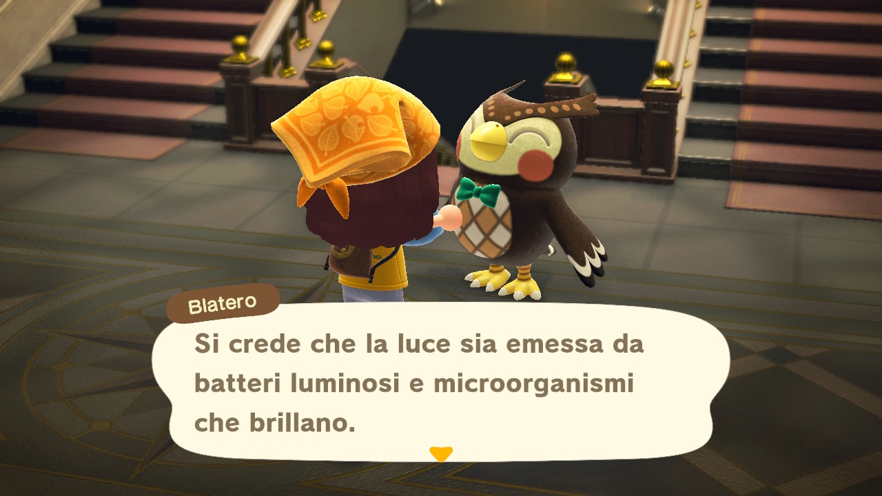 Il dialogo con il curatore del museo 2