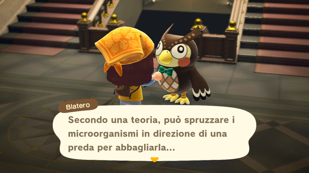 Il dialogo con il curatore del museo 1