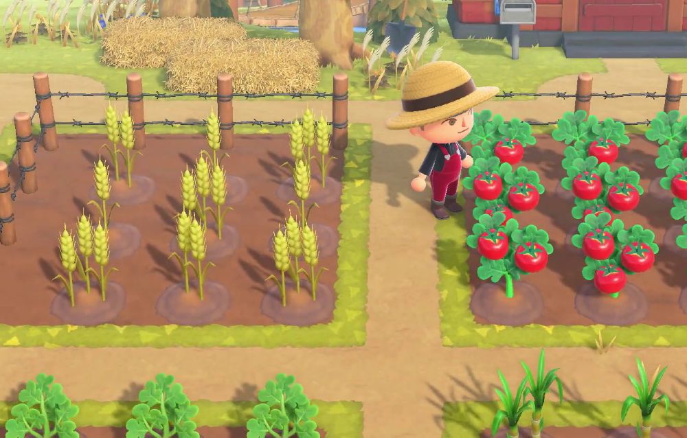 Animal Crossing: New Horizons, ecco come i crosser si stanno preparando per coltivare in vista del prossimo aggiornamento!